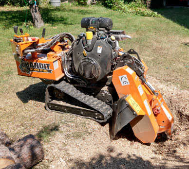 Frezarka do usuwania pni