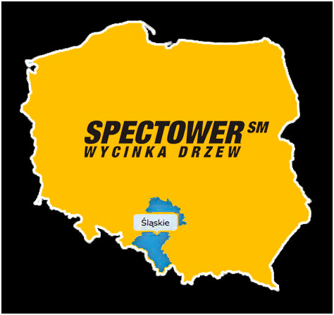 Mapa Polski z zaznaczonym regionem Śląska, na którym świadczymy usługi wycinki drzew